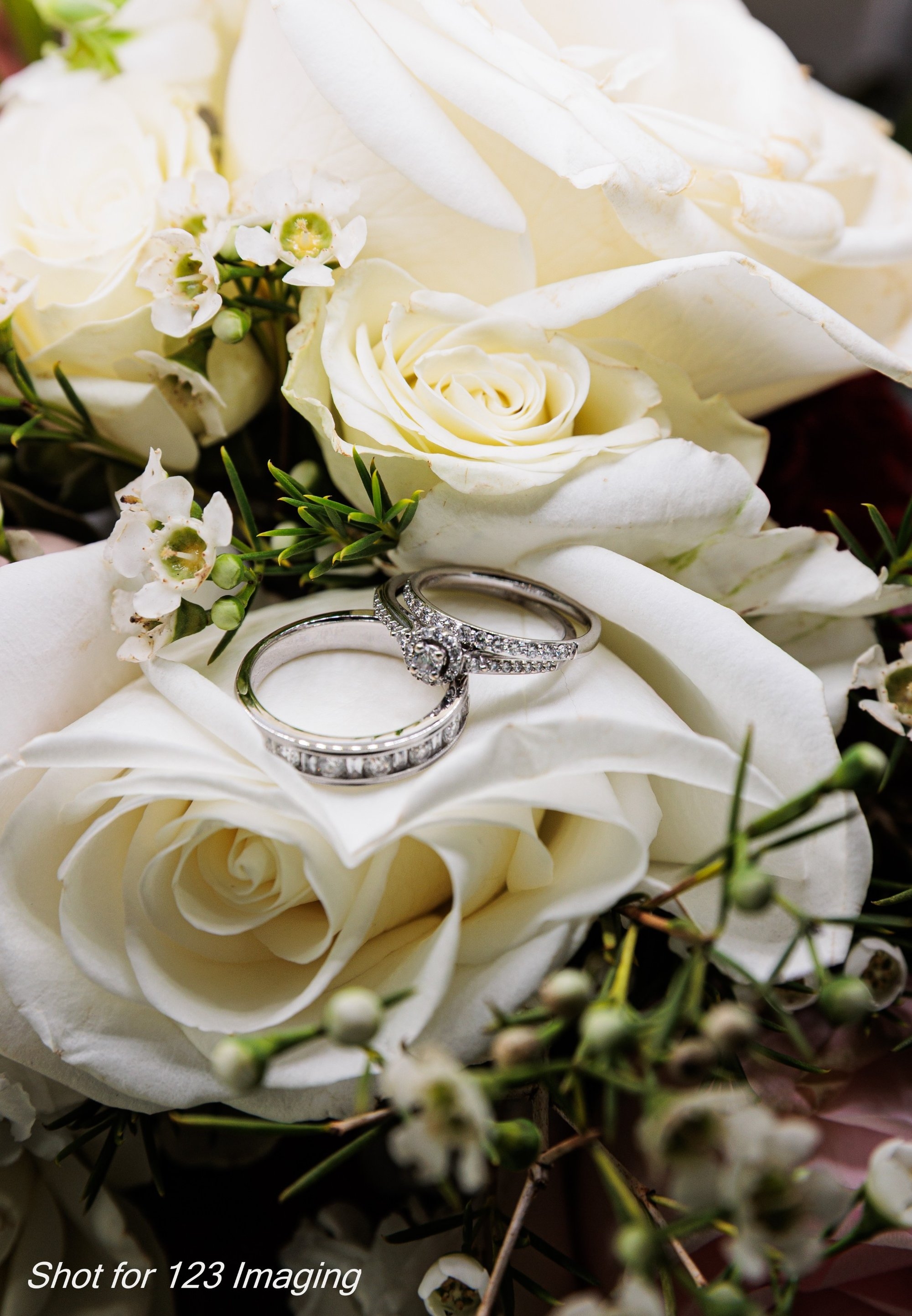 carousel-hero-element image-2